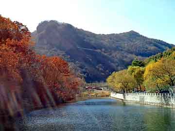 新澳天天开奖资料大全旅游团，神奇全景画中画